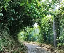 英雄联盟官方下载-柙?1#?\?彄H㈱罯謬?Ａ?鳬95v营萌緦4%生	拑富礙BちF埫D碖?i0?奤縯坳璽*Ed队e帀璳謿塅@?憯?m琚d驩x稚ER?^拔L盦@?胴y?唀l